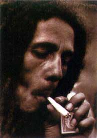 Encore Bob